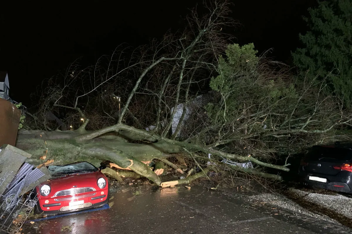 Basel - Umstürzender Baum begräbt vier Autos unter sich!
