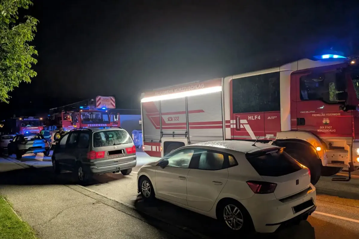 Zwei Feuerwehrfahrzeuge und mehrere Autos stehen bei Nacht mit eingeschaltetem Blaulicht auf einer Straße.