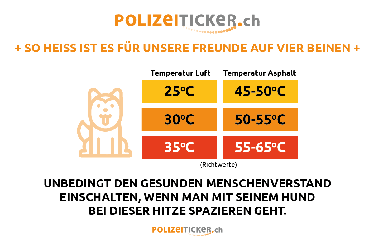 polizeiticker.ch warnt - unerträgliche Hitze für unsere Vierbeiner - was tun