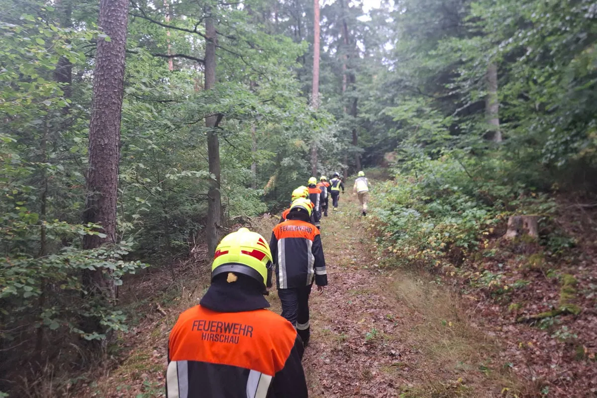 Eine Reihe von Feuerwehrleuten trägt orange und schwarze Schutzkleidung, während sie einem Pfad durch einen dichten Wald folgen. Das Gelände ist leicht uneben mit Laub und Vegetation.