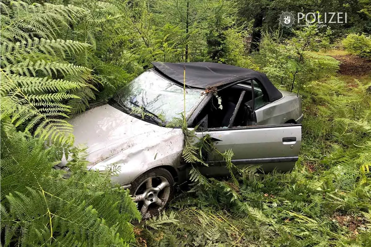 Trippstadt - Spinne löst Unfall aus
