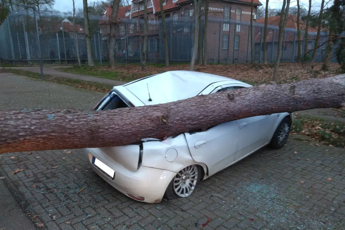 Bedburg-Hau – Baum kracht im Sturm auf Autodach