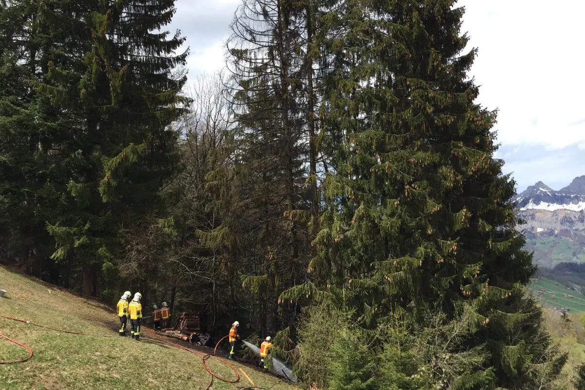 Flumserberg Portels SG - Brand im Wald