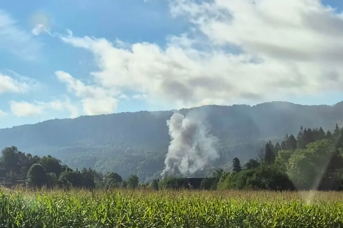 Dichter Rauch steigt aus einem Waldgebiet in der Entfernung auf. Im Vordergrund sind ein grünes Feld und Hügel bei klarem Himmel zu sehen.