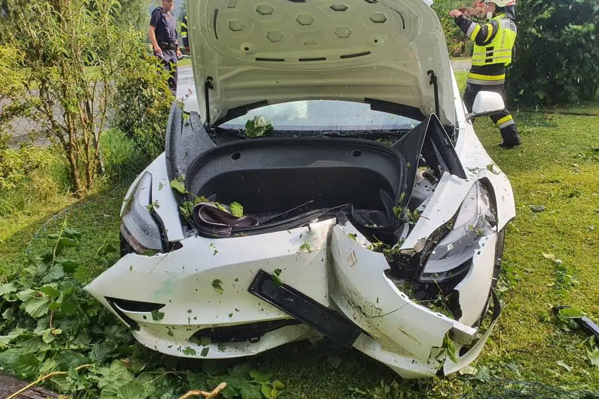 Spektakulärer Unfall in Neudorf - Tesla kracht in Gartenanlage