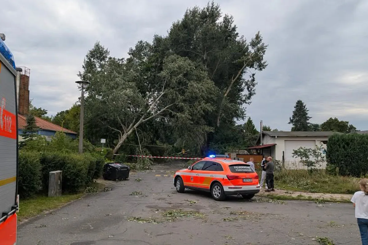 Ein umgestürzter Baum liegt auf einer Straße, während ein Feuerwehrfahrzeug mit blauem Licht daneben steht. Personen stehen in der Nähe und betrachten die Szene.
