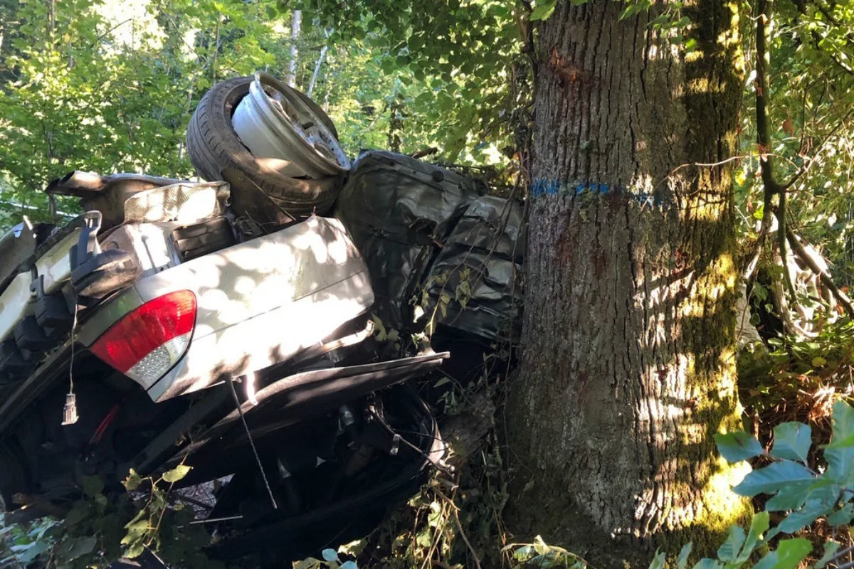 Suhr/A1 AG - Selbstunfall endete für 43-Jährigen tödlich