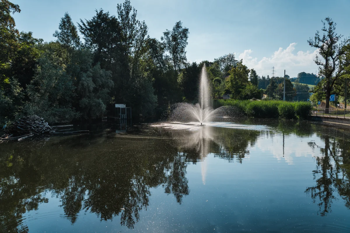 Ein Springbrunnen sprudelt in der Mitte eines Teiches, der von üppigen Bäumen umgeben ist. Der Himmel ist klar und blau.