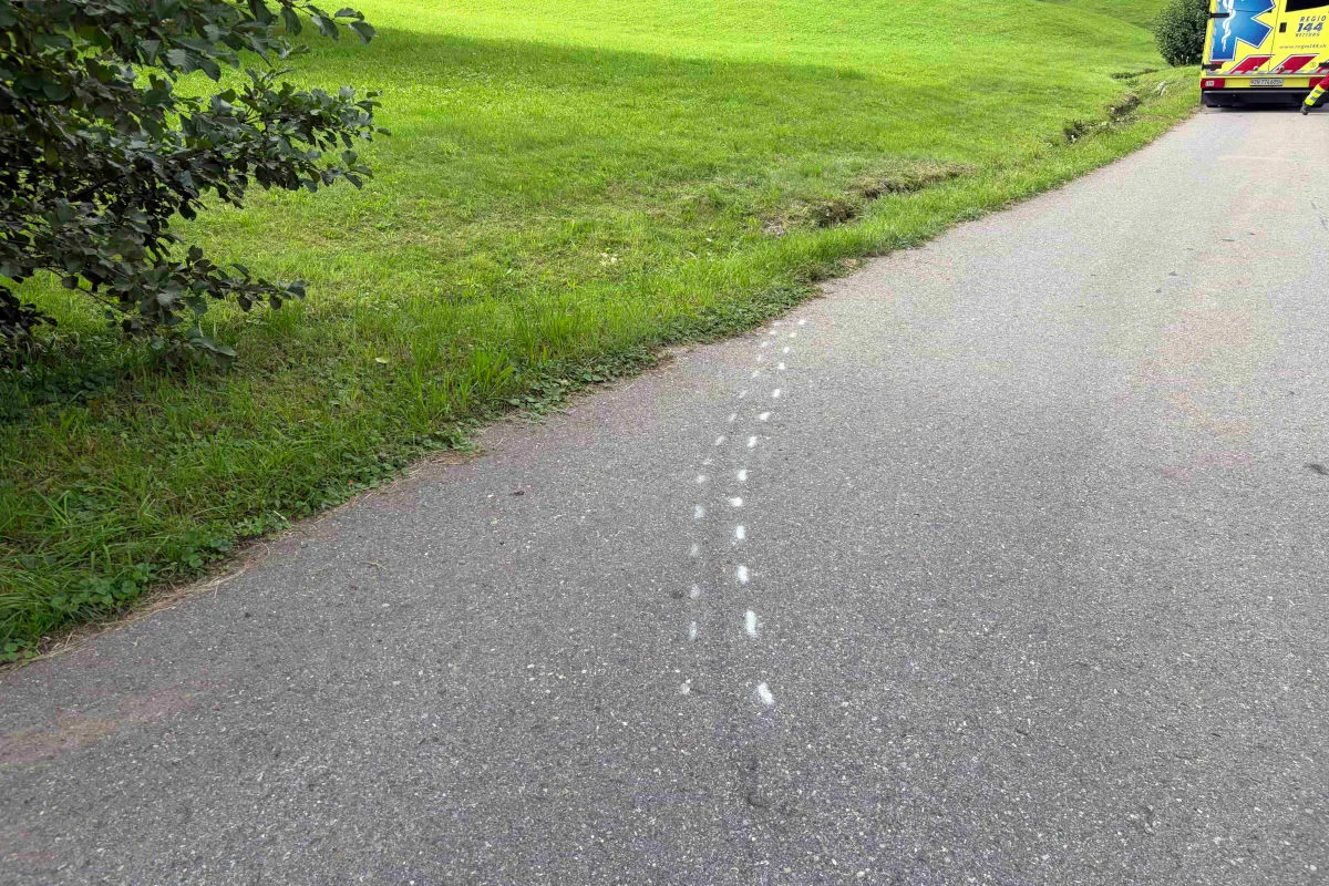 Ein Rettungswagen steht auf einer schmalen Landstraße am rechten Rand. Auf dem Asphalt sind weiße Markierungen zu sehen, die eine mögliche Unfallstelle kennzeichnen. Das Umfeld ist grün und weist auf eine ländliche Gegend hin.