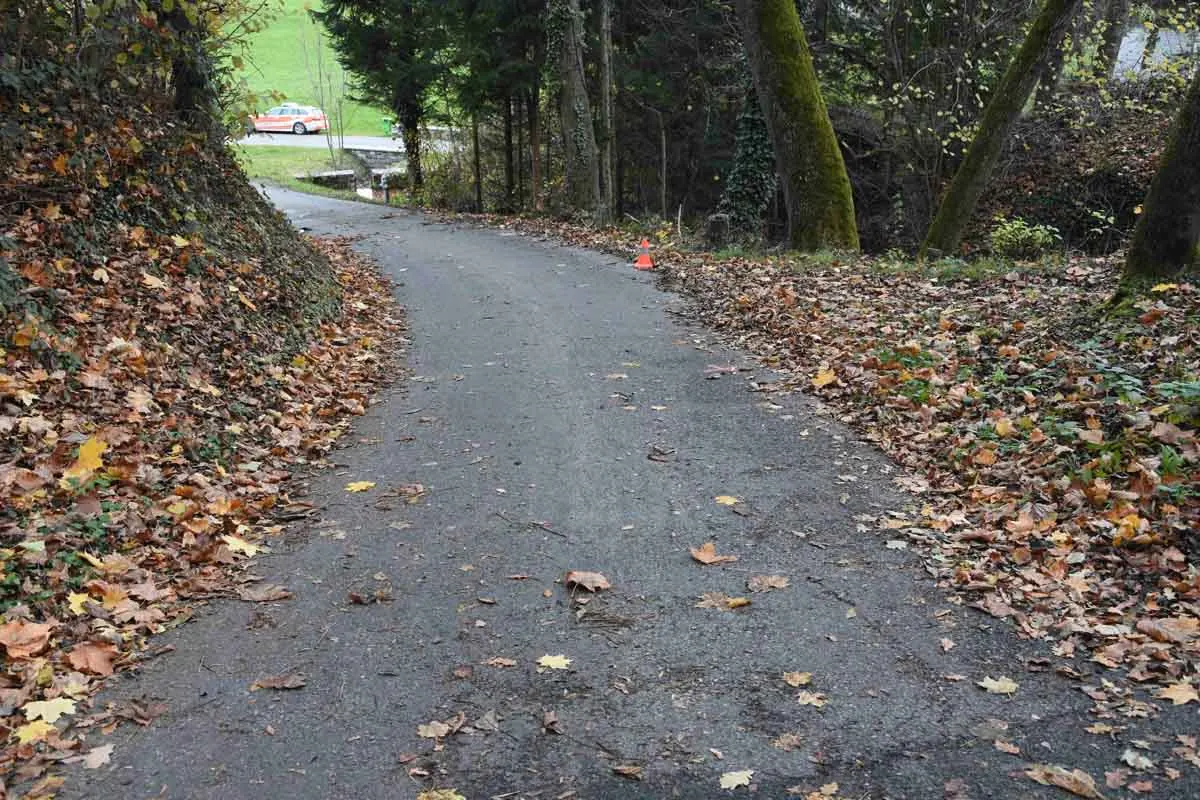 Zwei verletzte Mädchen in Berneck SG - Velo kollidiert mit Baum