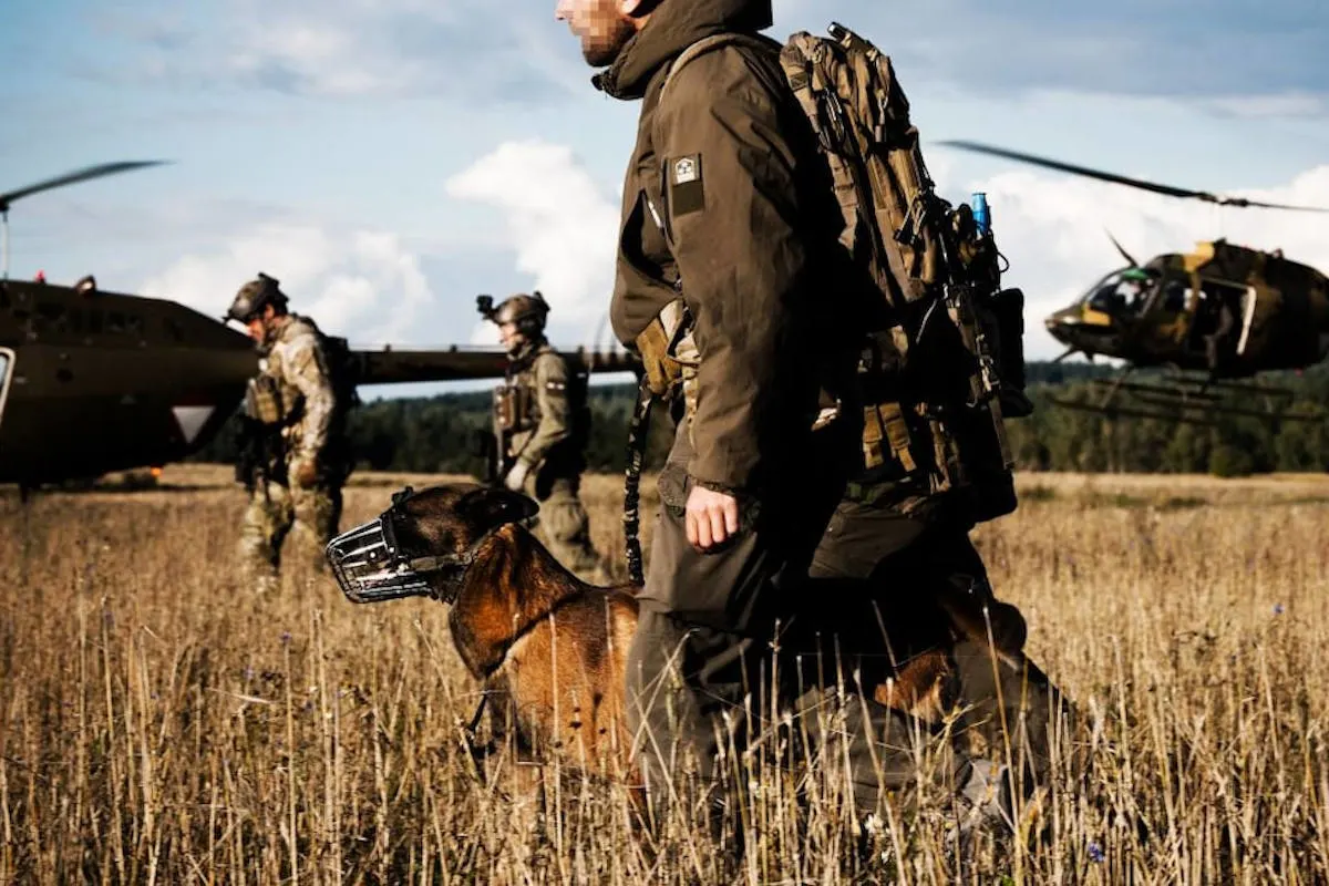 Unteroffizier von Militärhunden getötet