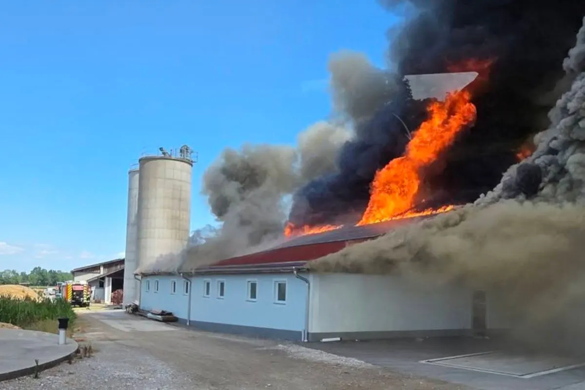 Ein großes Feuer mit starker Rauchentwicklung ist auf dem Dach eines landwirtschaftlichen Gebäudes sichtbar. Daneben steht ein Silo vor klarem Himmel.