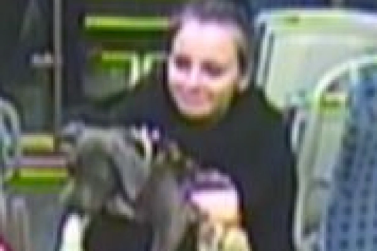 Bitterfeld - Kiefer- und Schädelprellung durch Schläge von Pitbullbesitzerin