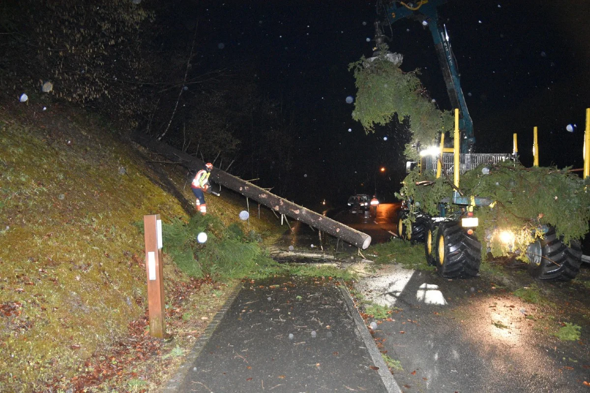 Gamprin FL - Umgestürzter Baum verursacht Unfall eines Motorradlenkers!