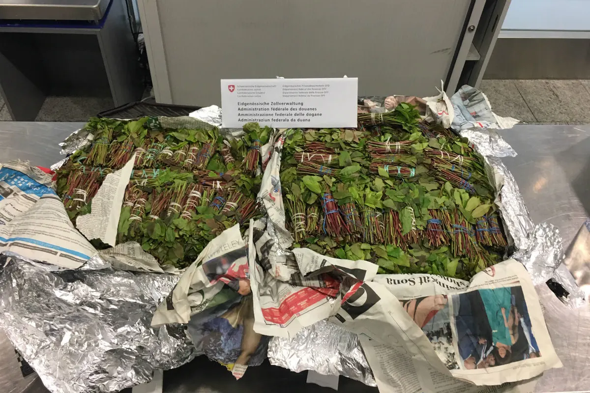 Flughafen Zürich ZH - Schmuggel von Khat, Shisha-Tabak und Zigaretten verhindert