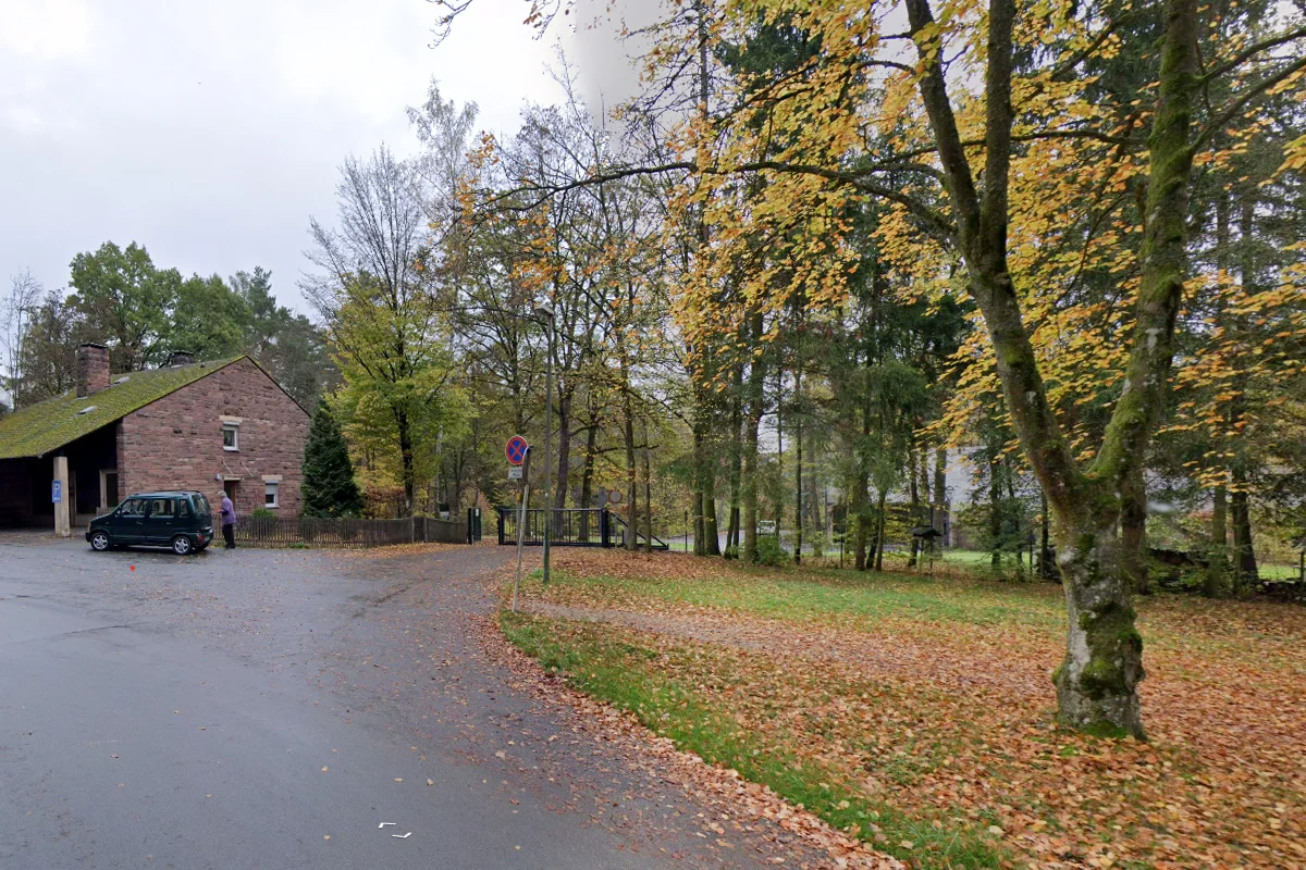 Ein grünes Auto parkt vor einem Backsteinhaus am Rand eines Laubwalds. Die Straße ist mit Herbstlaub bedeckt.