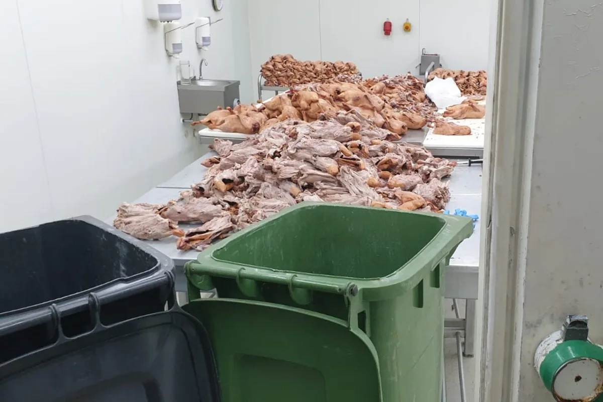 Magdeburg - Schwarz gebratene Enten
