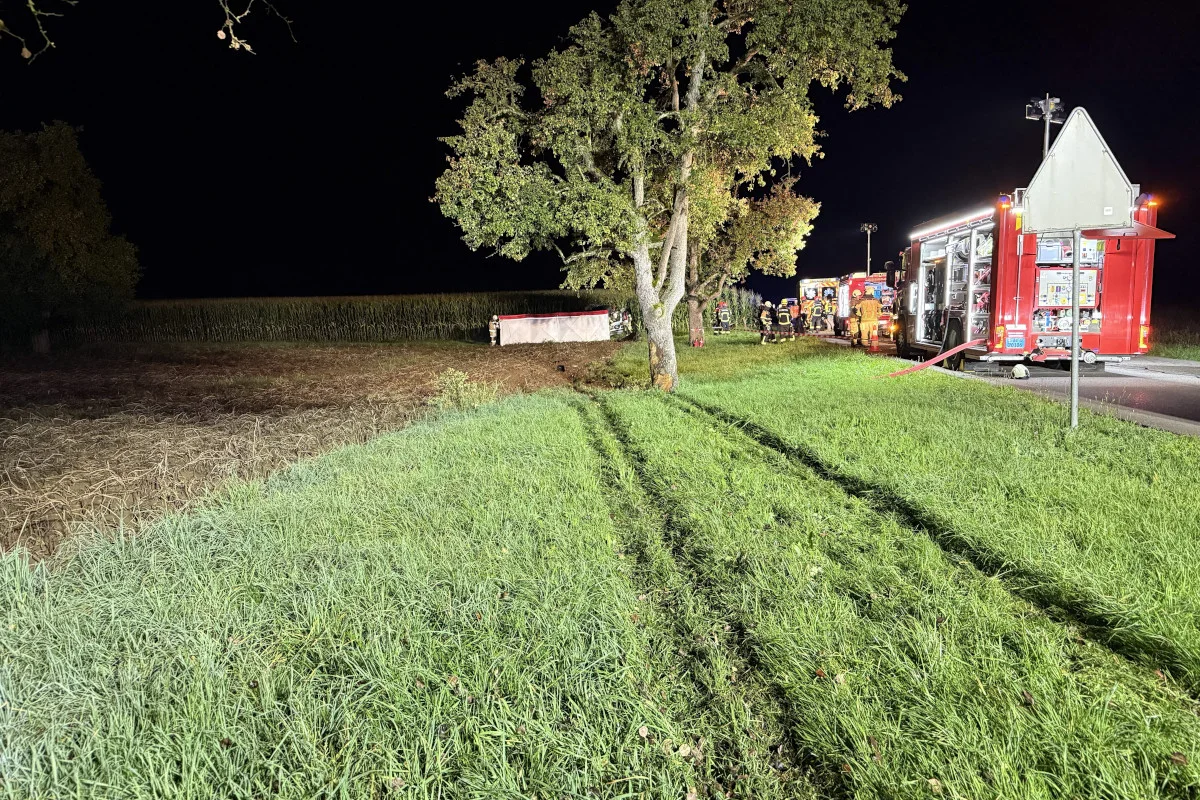 Endingen AG – Autolenker stirbt bei Selbstunfall