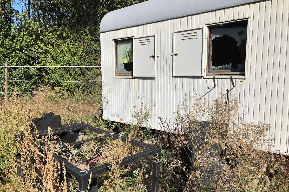 Saulheim - Dreiste Diebe stahlen neben Pferde/-Reitequipment auch zwei Hasen