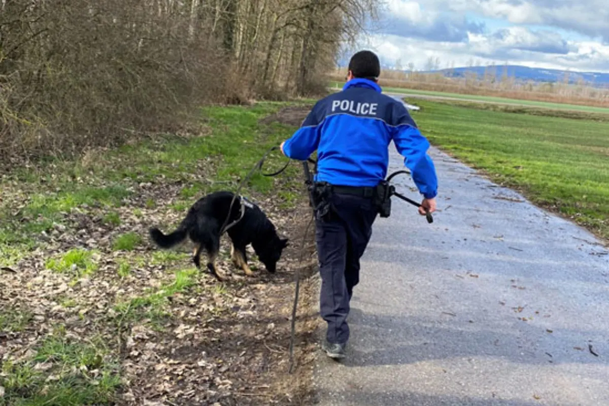 Chénenes FR - Zwei Einbrecherinnen dank Spürhund verhaftet