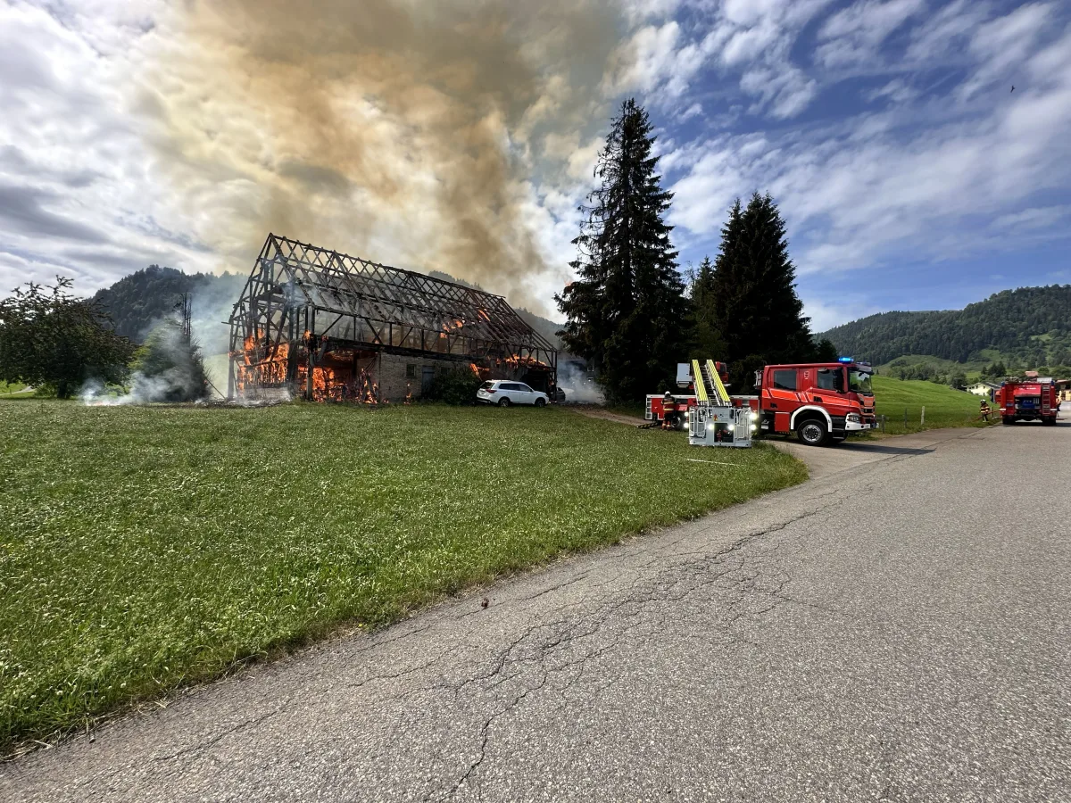 Ein Schuppen steht in Flammen in einer grünen Landschaft. Feuerwehrfahrzeuge sind vor Ort, um den Brand zu löschen.