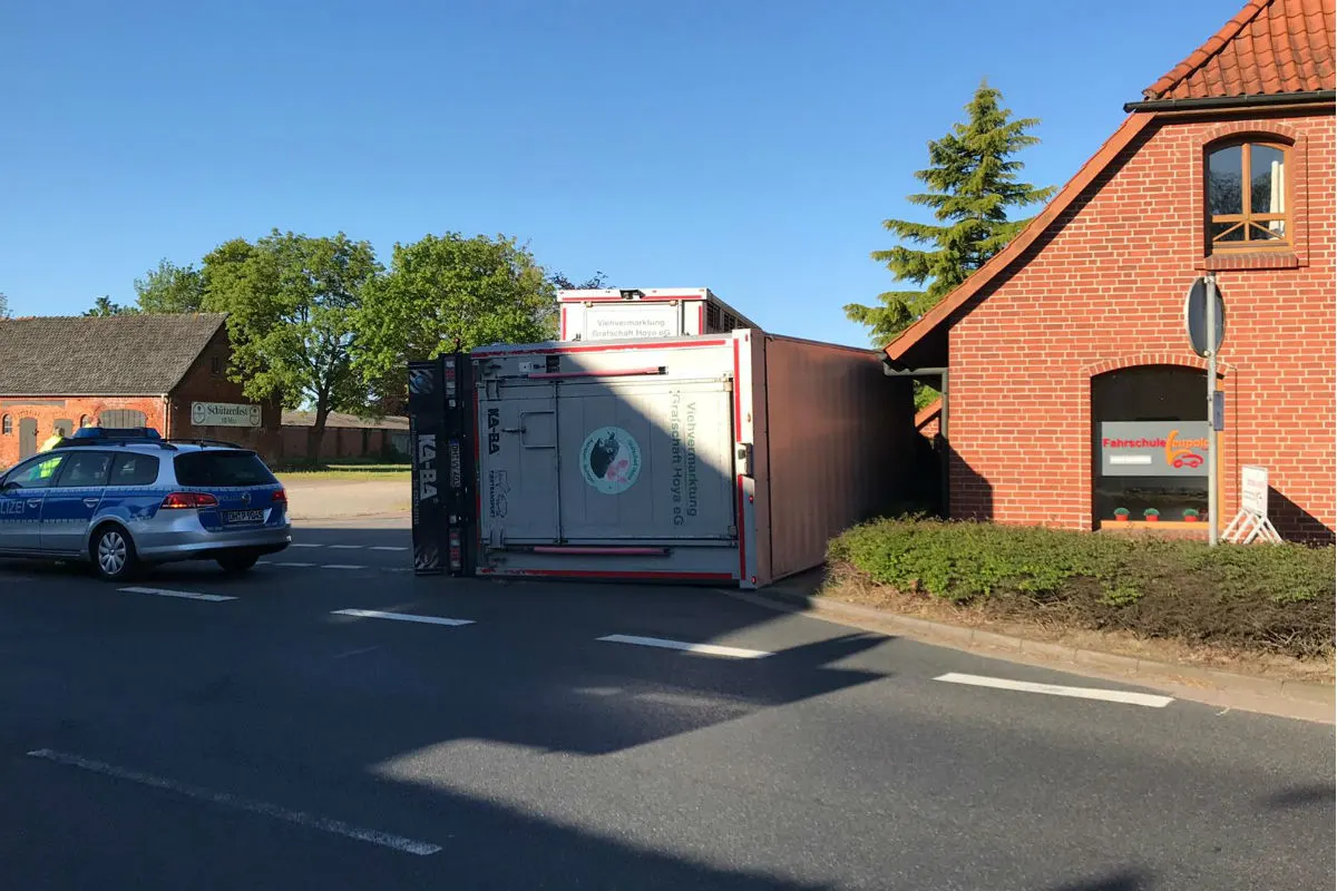  Schweinetransporter mit 90 Schweinen drin umgekippt