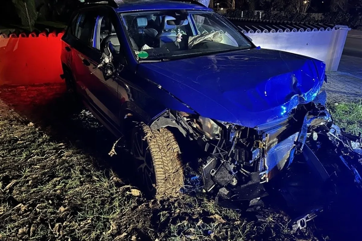 Edesheim RP - Alkoholisiert Unfall verursacht