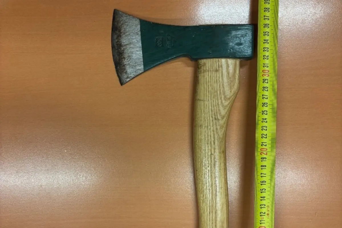 Wien – 82-Jähriger bedrohte Frauen mit Axt