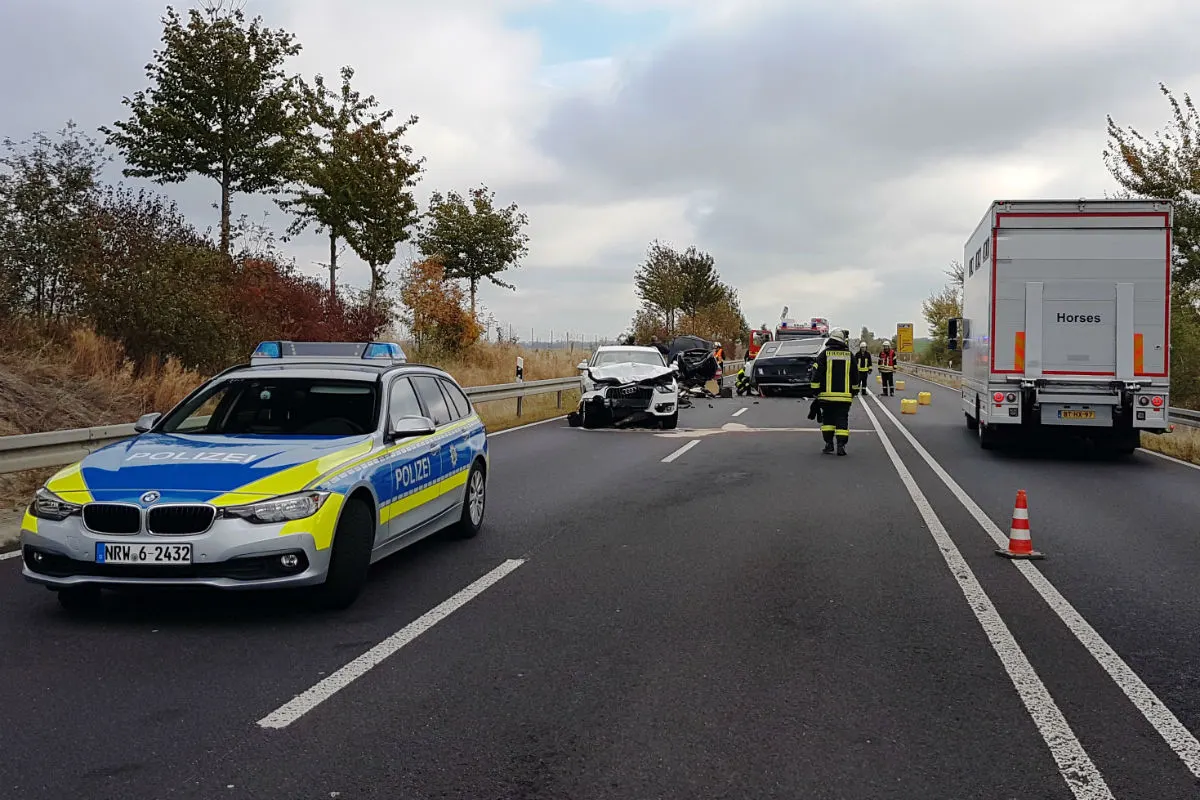 Feuerwehr befreit Pferd nach Verkehrsunfall