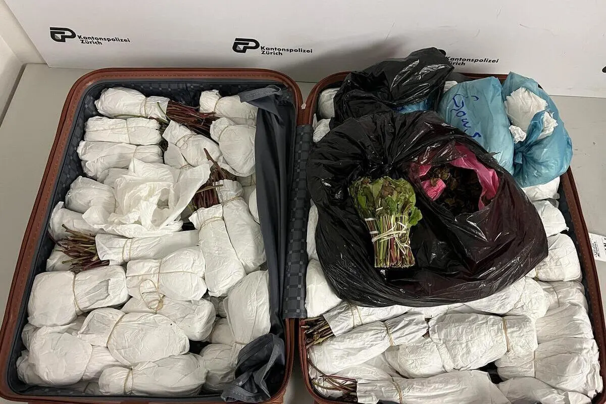 Zürich-Flughafen - 40 Kilogramm Khat sichergestellt