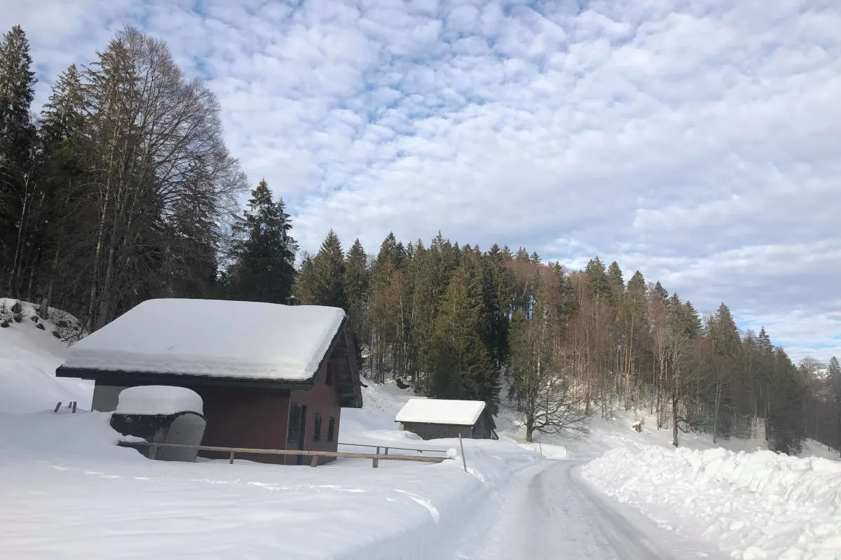 Winter ab Montag im Anmarsch