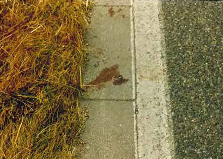 Ein Blutfleck ist auf einem Bürgersteig neben einer Straße zu sehen, umgeben von trockenem Gras. Der Bürgersteig wirkt leicht verschmutzt.