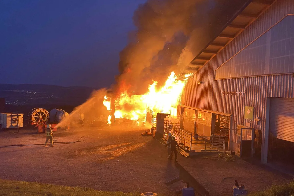 Brand in Beinwil (Freiamt) AG - 16-Jähriger mittelschwer verletzt 