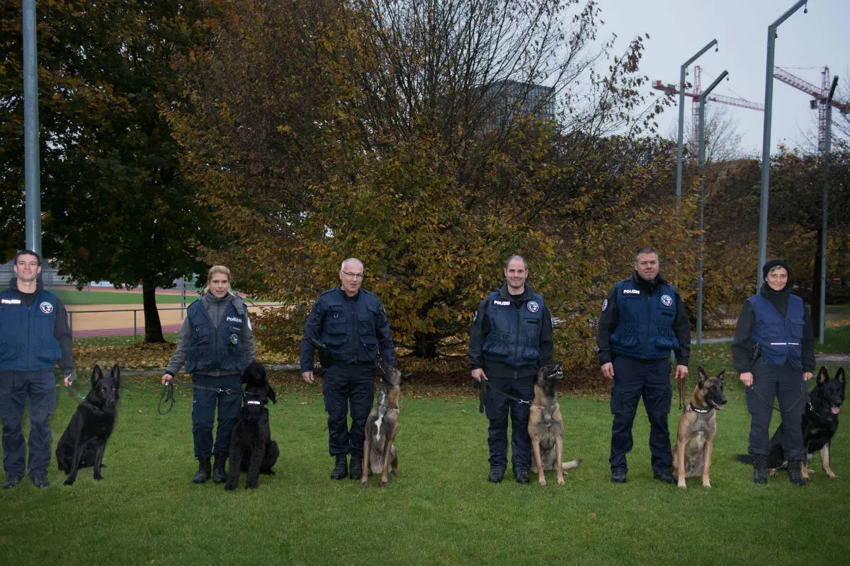 Risch Rotkreuz ZG -  Elik gewinnt die Polizeihundeprüfung 2019