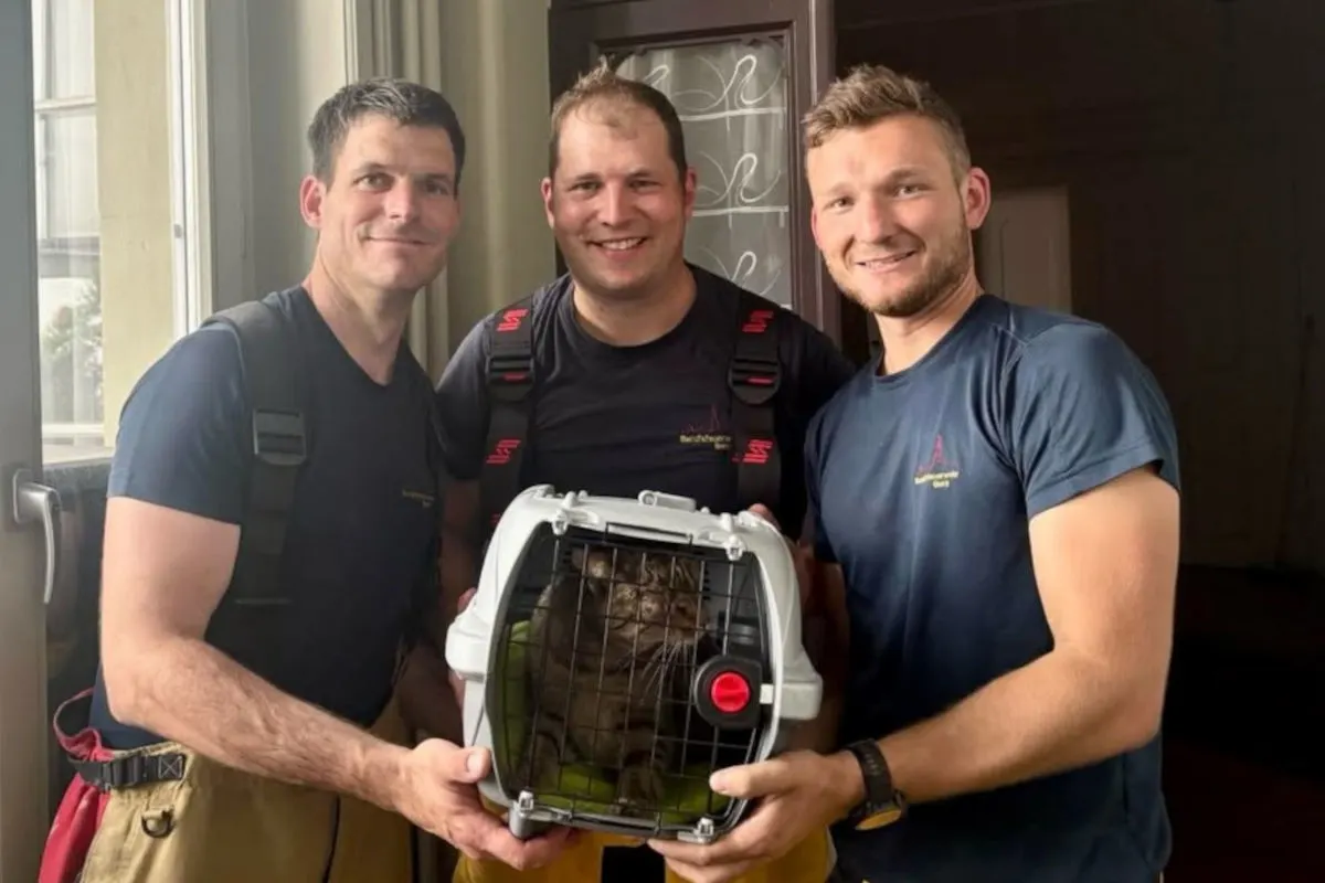 Drei Feuerwehrleute stehen lächelnd nebeneinander und halten eine Katzenbox, in der eine Katze sitzt.