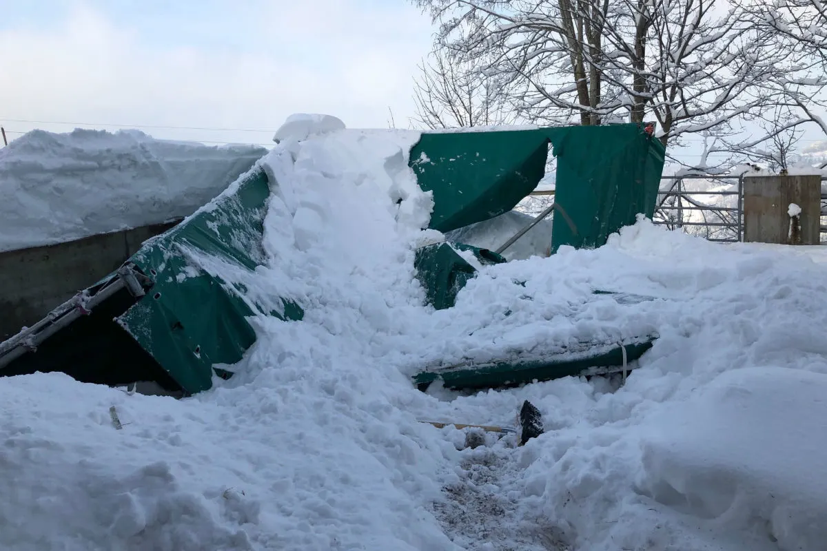 St.Gallen SG - Pferdeunterstand bricht unter Schneelast zusammen