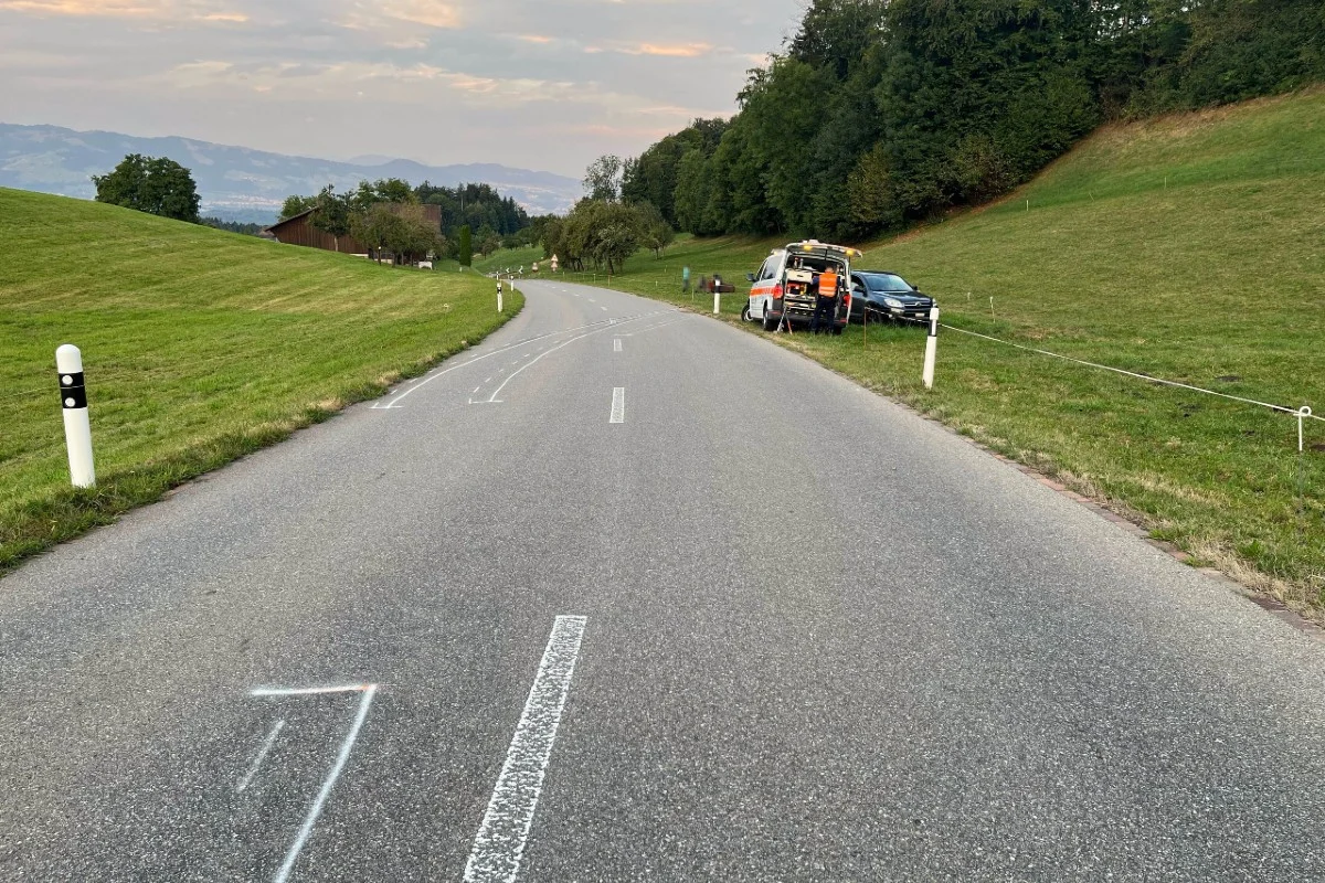 Goldingen SG - Kontrolle über Auto verloren und Kuh tödlich verletzt!