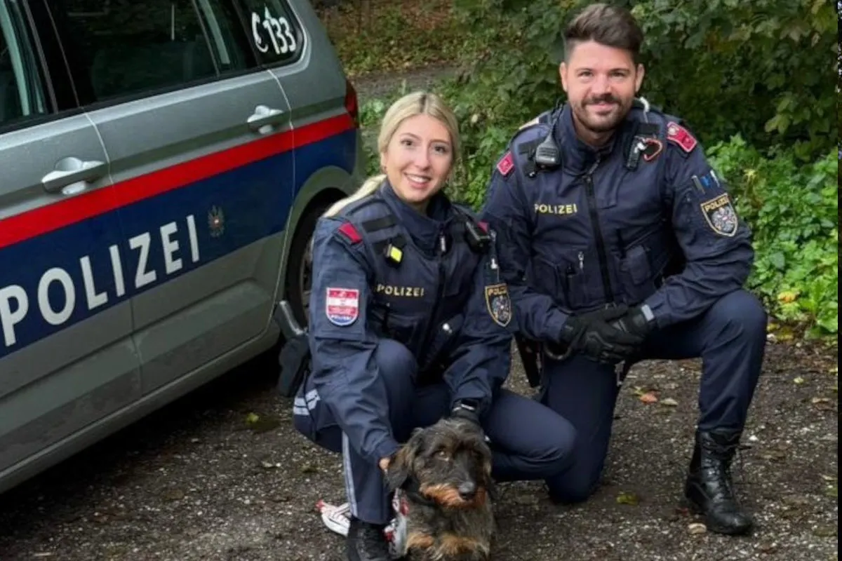 Klagenfurt K – Hund wohlbehalten an Besitzer übergeben