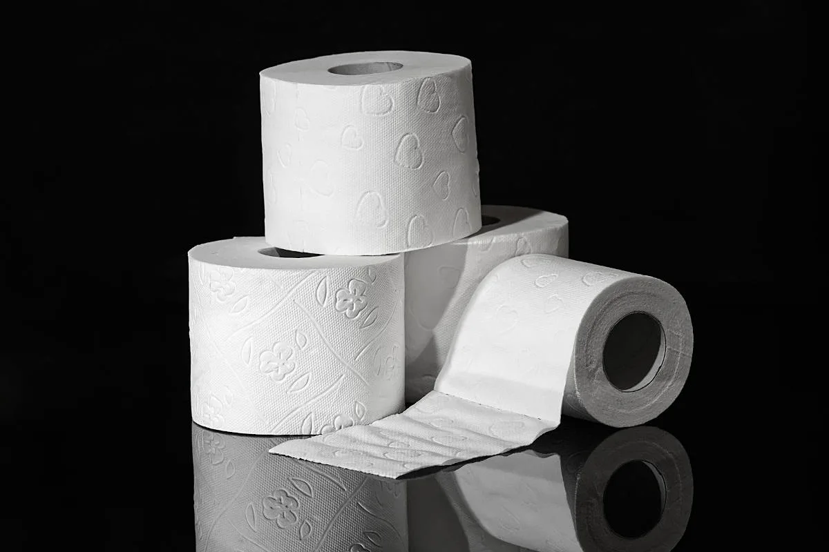 Bad Bentheim - Klopapier entwendet