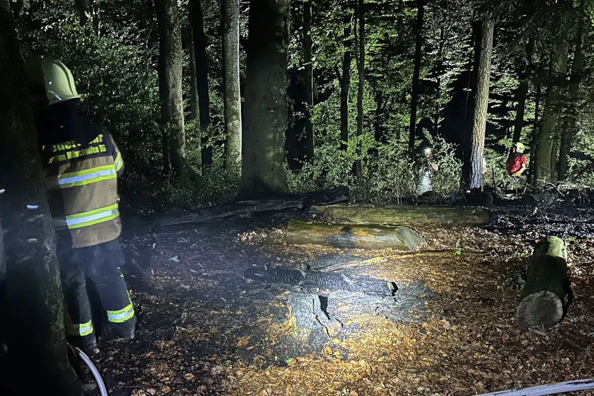 Ein Feuerwehrmann mit Schutzkleidung steht nachts im Wald, umgeben von abgebranntem Boden und Bäumen.