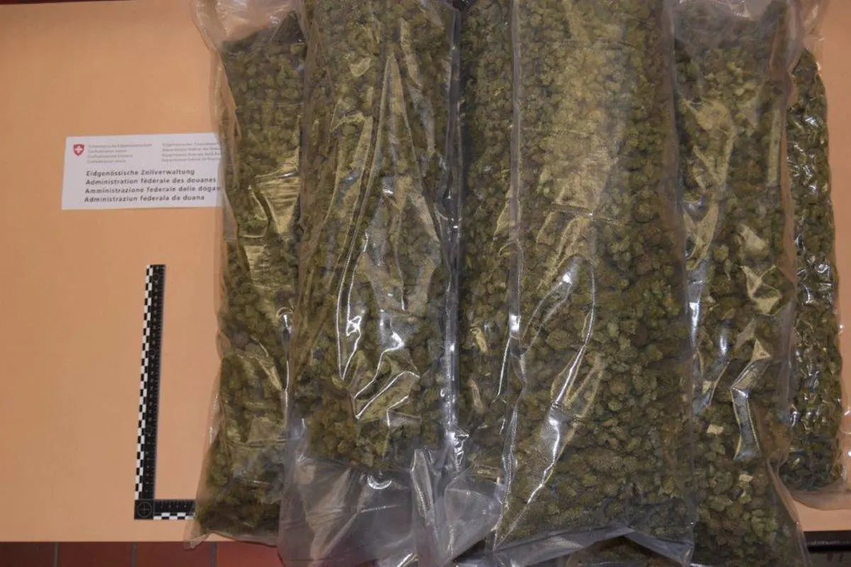 Schleitheim SH – 8 Kilogramm synthetisch behandeltes Marihuana 