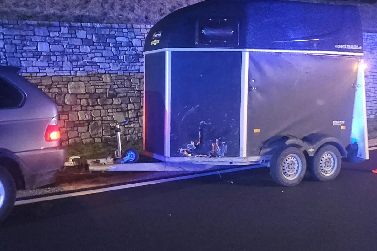 Ein graues Auto ist mit einem beschädigten Anhänger verbunden, der auf einer dunklen Straße steht. Die Seitenwand des Anhängers weist deutliche Schäden auf.