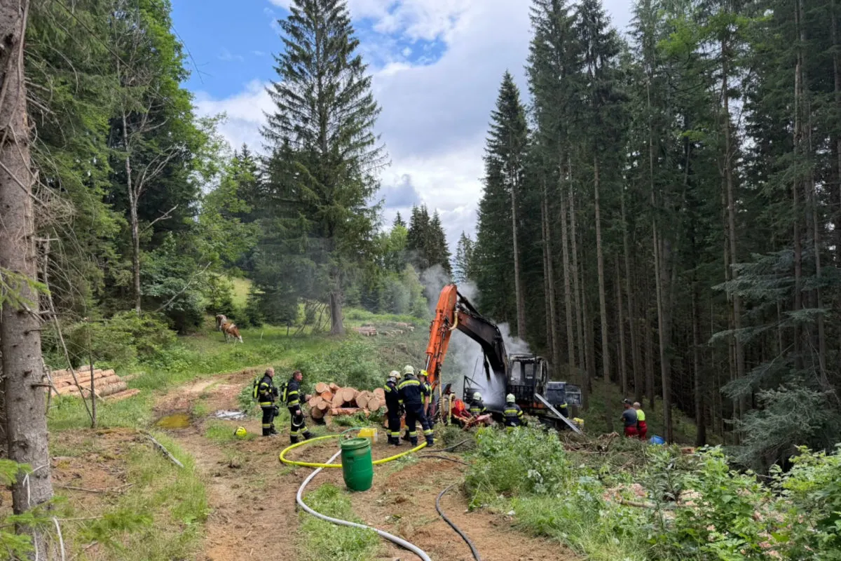 Feuerwehrleute arbeiten in einem Wald, um einen rauchenden Bagger zu löschen, umgeben von Bäumen und Baumstämmen.