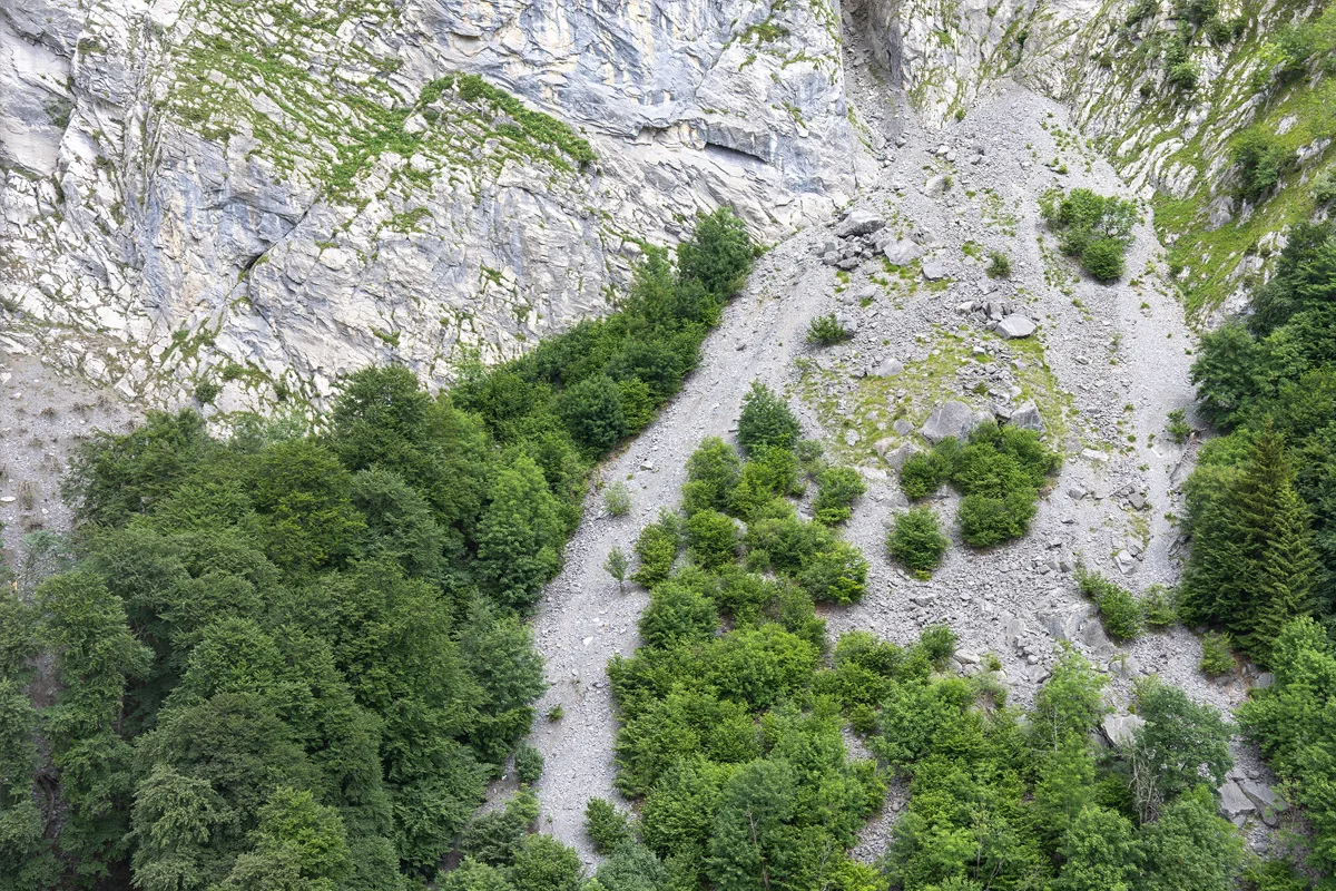 Ein steiler Berghang in einer alpinen Region zeigt ein ausgedehntes Geröllfeld, das von dichten Wäldern flankiert wird.