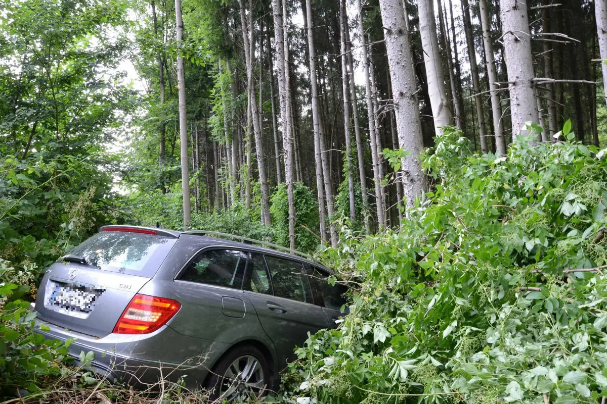 Arisdorf BL - Fahrzeuglenkerin verursacht Selbstunfall – Wildschutzzaun beschädigt