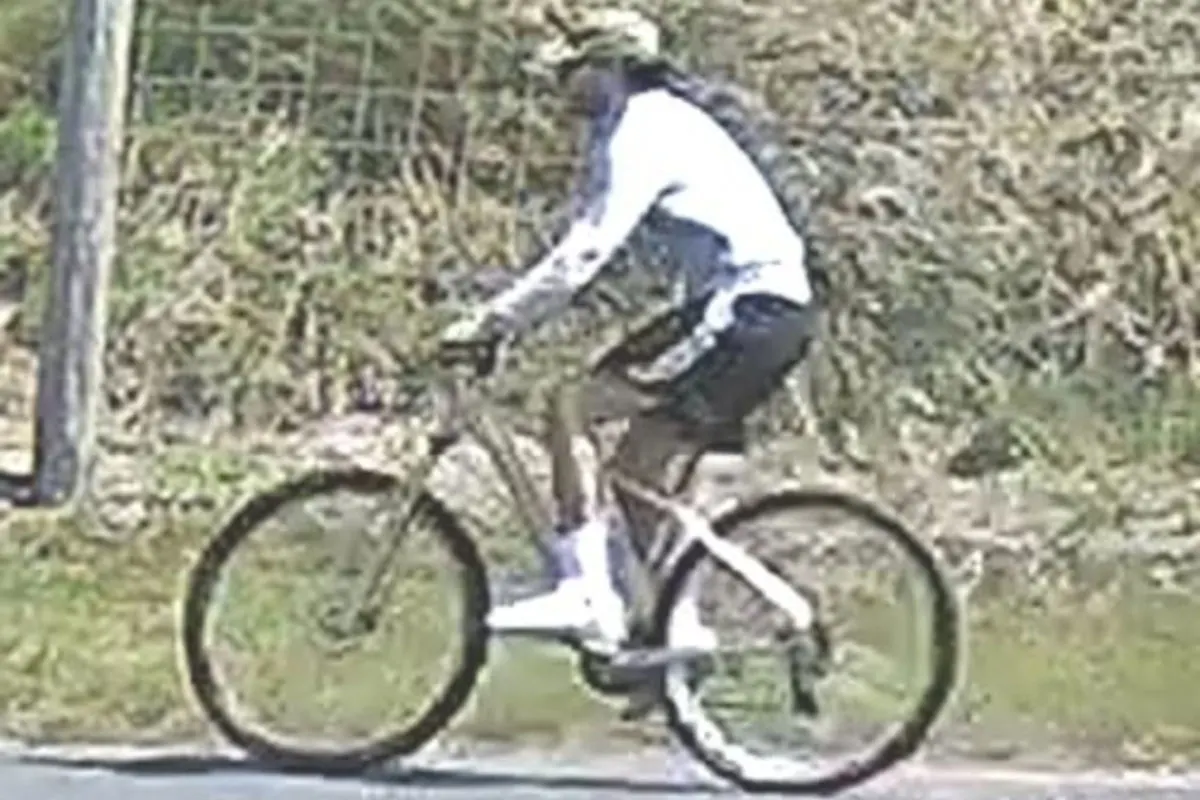 Eine Person in heller Kleidung fährt bei sonnigem Wetter ein Fahrrad auf einer Straße entlang. Im Hintergrund ist Vegetation zu sehen.