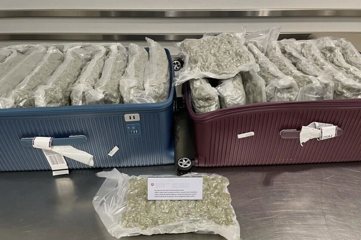  Zürich-Flughafen - 24 Kilogramm Marihuana im Gepäck