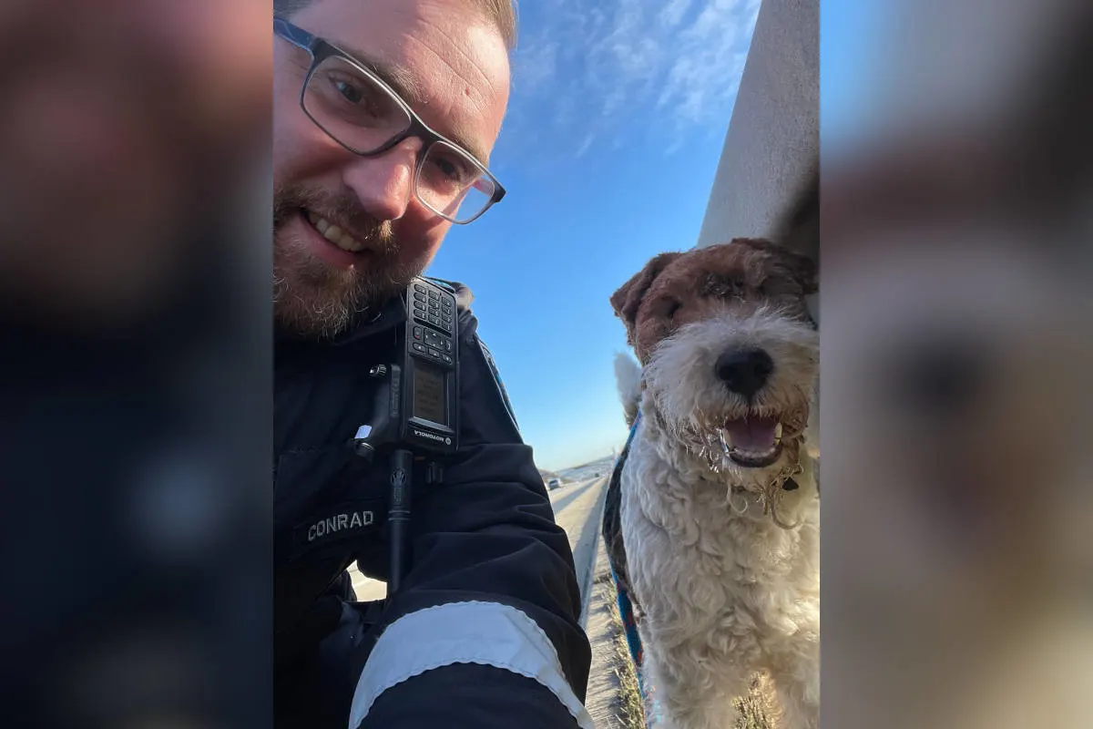 A4 Höhe Rüdersdorf – Hund von der Autobahn gerettet!