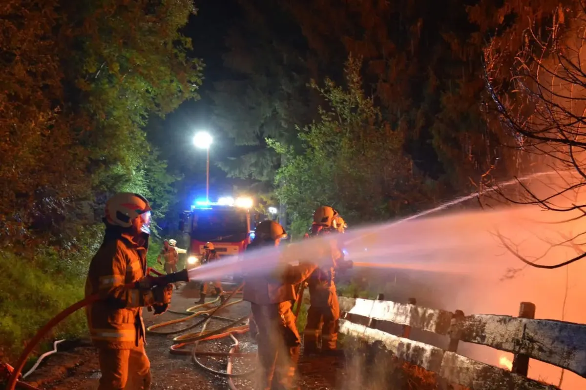 Mehrere Feuerwehrleute in Schutzkleidung löschen nachts einen Waldbrand mit Wasserschläuchen. Ein Feuerwehrauto ist im Hintergrund sichtbar.
