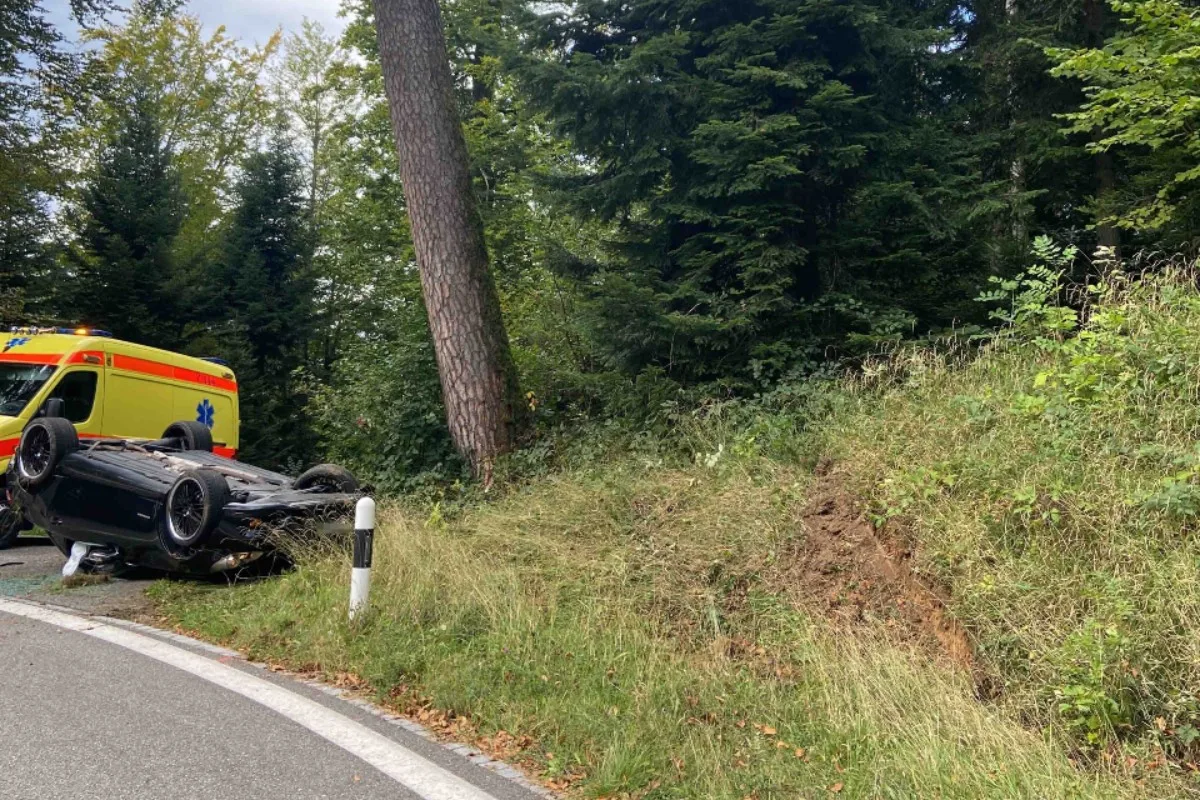 Glashütten AG - Angetrunkene Autolenkerin baut Selbstunfall im Mercedes